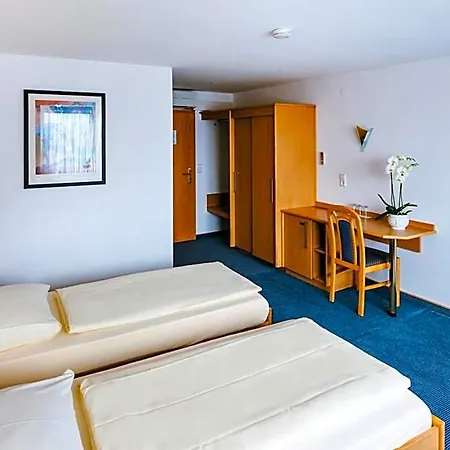 Hotel Central فندق فايل أم راين